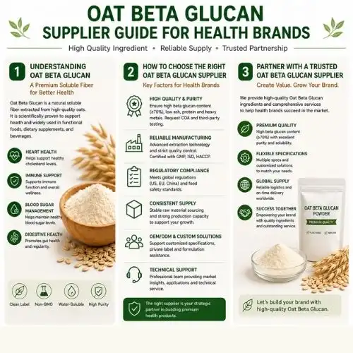 Oat Beta Glucan Supplier Guide for Health Brands